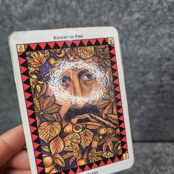 Tarot: Waking the Wild Spirit of Nature Deck Set Cards (78) by Poppy Palin - Picture 9 of 15